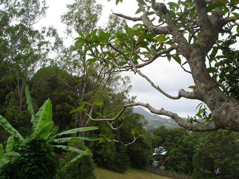 Eumundi QLD 4562