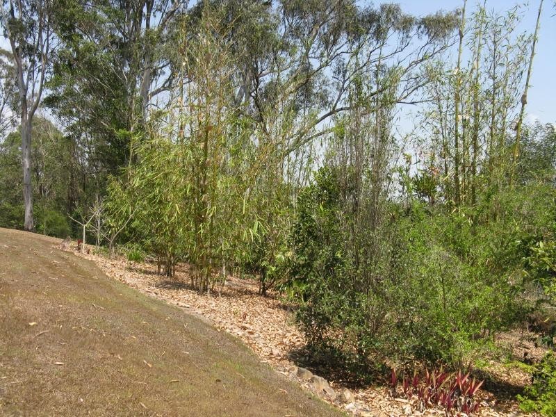 Eumundi QLD 4562
