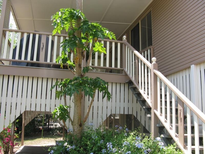 Eumundi QLD 4562