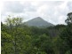 Eumundi QLD 4562