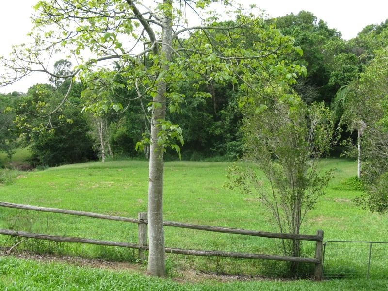 Eumundi QLD 4562