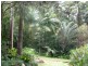 52 TALLGUM Avenue, Eumundi QLD 4562