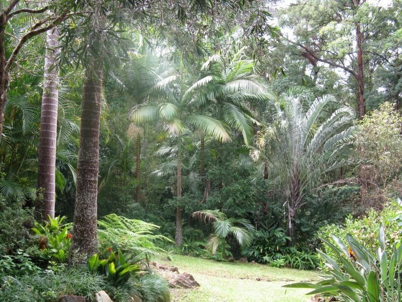 52 TALLGUM Avenue, Eumundi QLD 4562