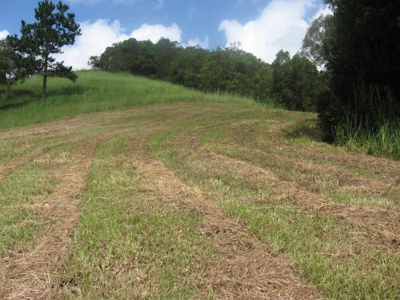 Lot 80 Blueberry Lane, Rafter Country, Eumundi QLD 4562