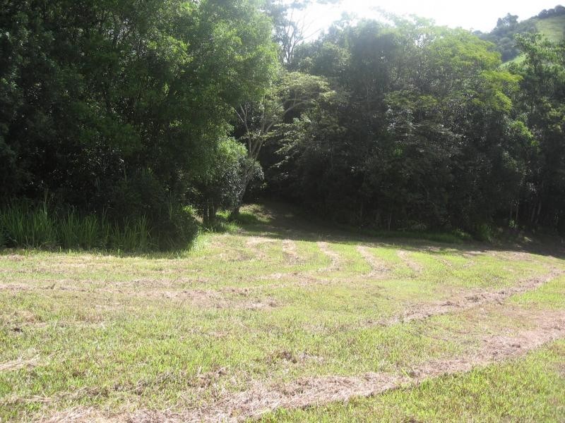 Lot 80 Blueberry Lane, Rafter Country, Eumundi QLD 4562