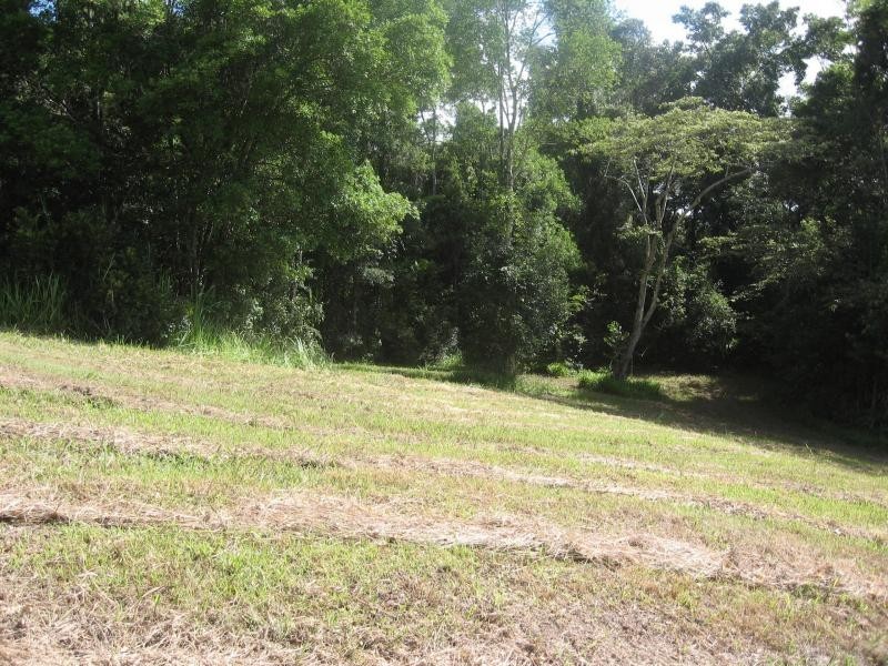 Lot 80 Blueberry Lane, Rafter Country, Eumundi QLD 4562