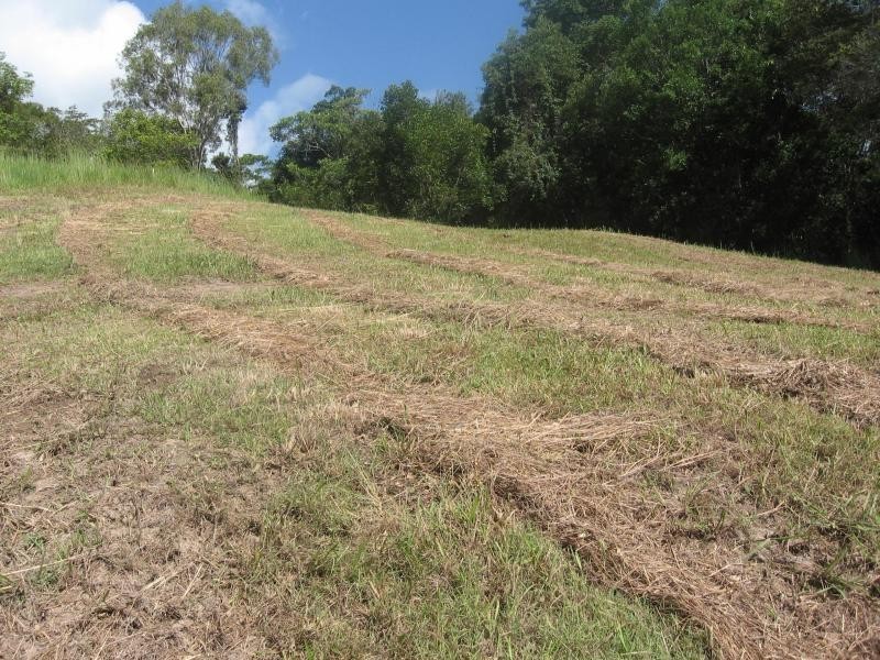 Lot 80 Blueberry Lane, Rafter Country, Eumundi QLD 4562