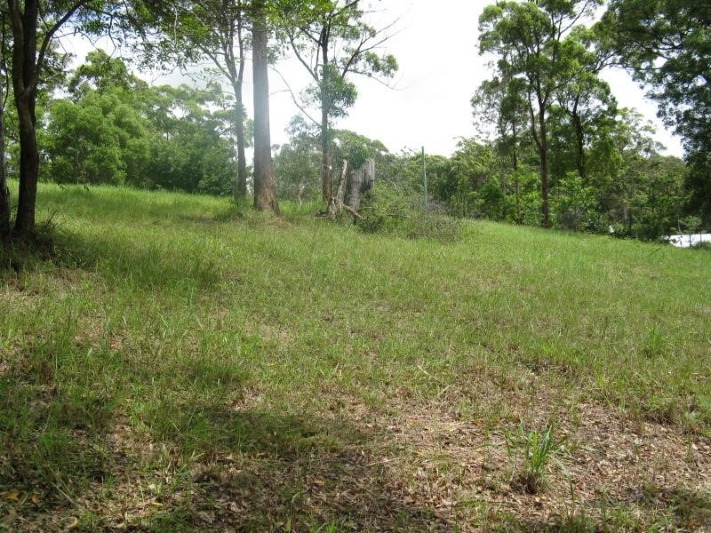 44 Greenacre Road, Noosa Hinterland Estate, Eumundi QLD 4562