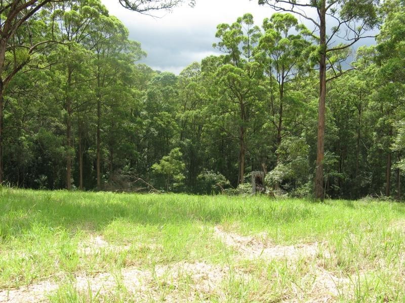 44 Greenacre Road, Noosa Hinterland Estate, Eumundi QLD 4562