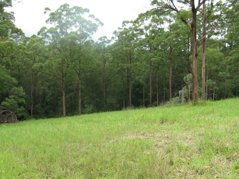 44 Greenacre Road, Noosa Hinterland Estate, Eumundi QLD 4562