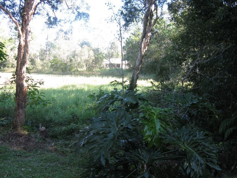 8/26 KAURI Street, Cooroy QLD 4563