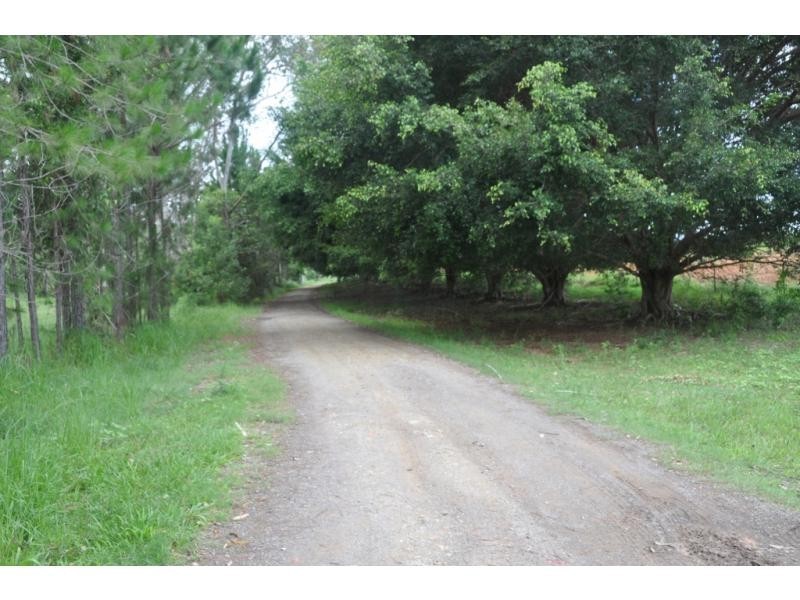 36 HAFLINGER Road, Yandina QLD 4561