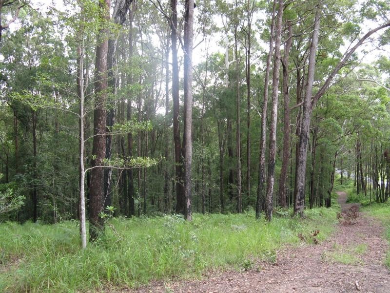 Verrierdale QLD 4562