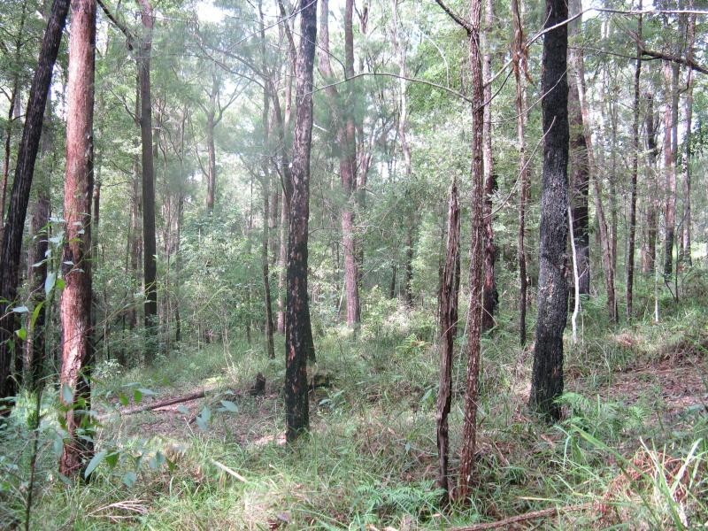 Lot 2 DEAN Road, Verrierdale QLD 4562