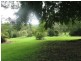 Eumundi QLD 4562