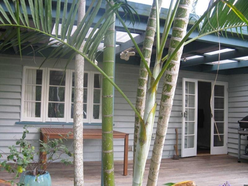 Eumundi QLD 4562