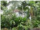 Eumundi QLD 4562