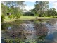 Eumundi QLD 4562