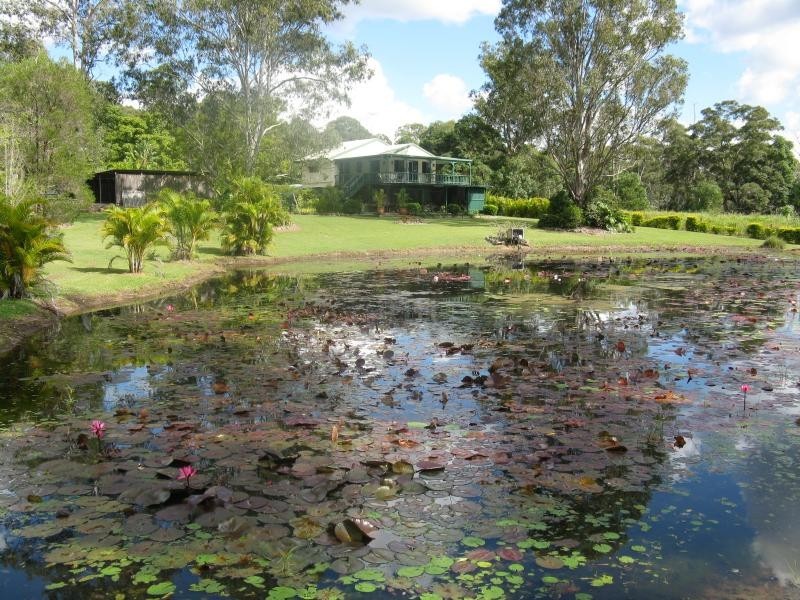 Eumundi QLD 4562