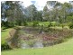 Eumundi QLD 4562
