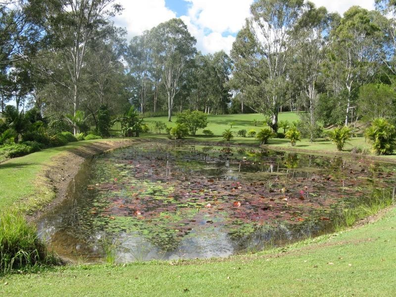 Eumundi QLD 4562
