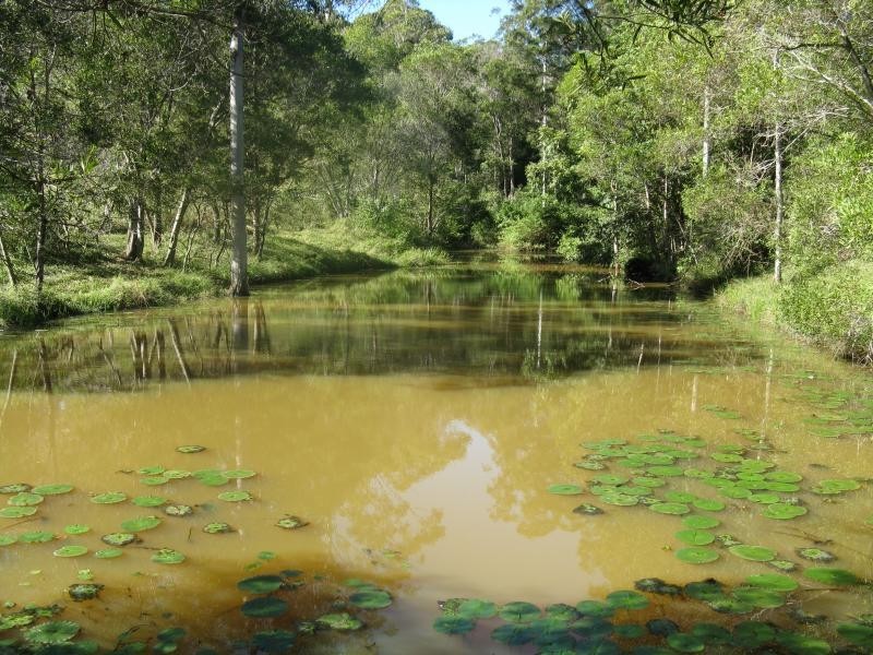 99 JORGENSEN Road, Cooroy QLD 4563