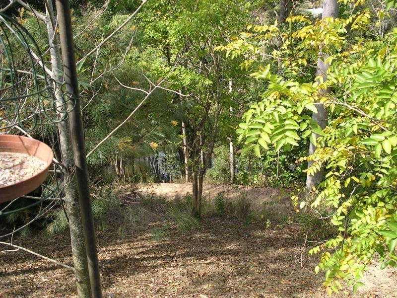 6 BALKIN Court, Eumundi QLD 4562