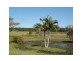 Eumundi QLD 4562