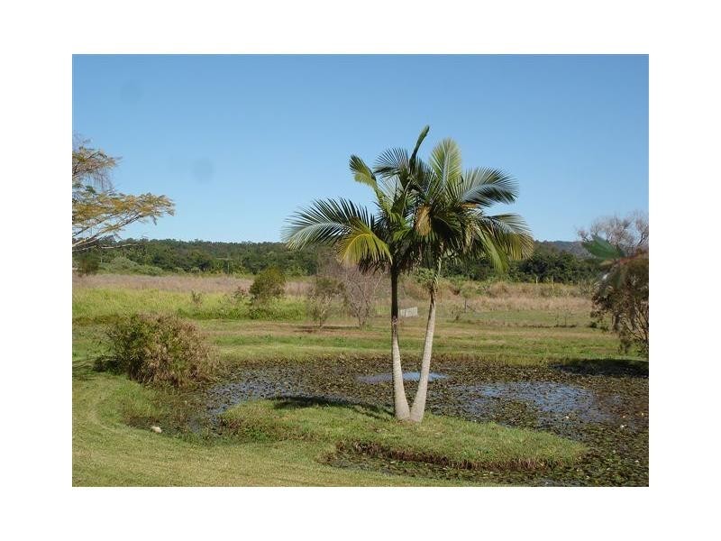 Eumundi QLD 4562
