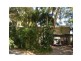 Eumundi QLD 4562
