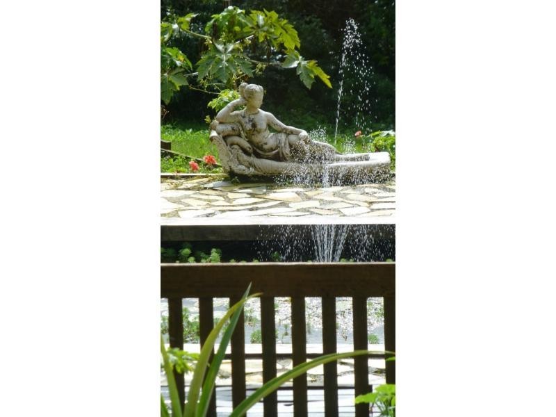 43 CAPLICK Way, Eumundi QLD 4562