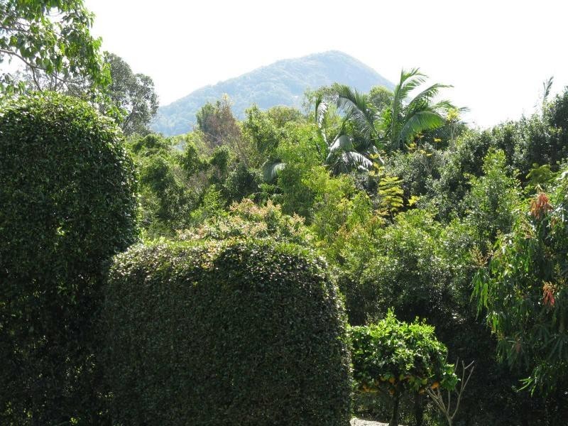 Eumundi QLD 4562