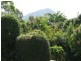 Eumundi QLD 4562