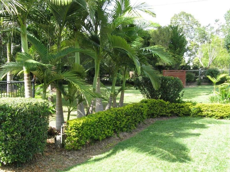 Eumundi QLD 4562