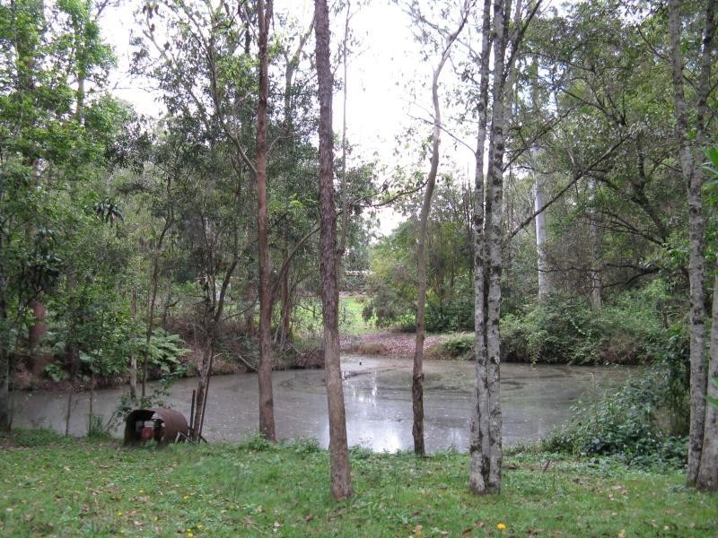 Eumundi QLD 4562