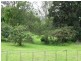 Eumundi QLD 4562