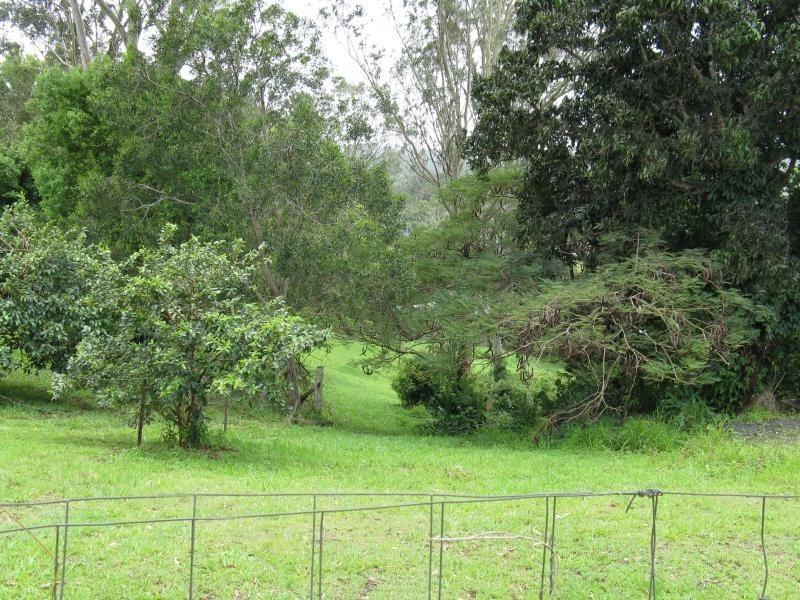 Eumundi QLD 4562