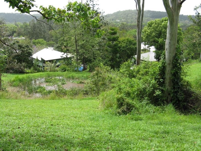 Eumundi QLD 4562