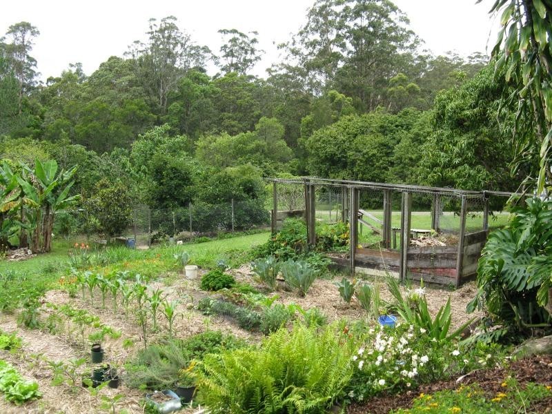 Yandina QLD 4561