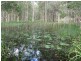 182 Hidden Valley Road, North Arm QLD 4561