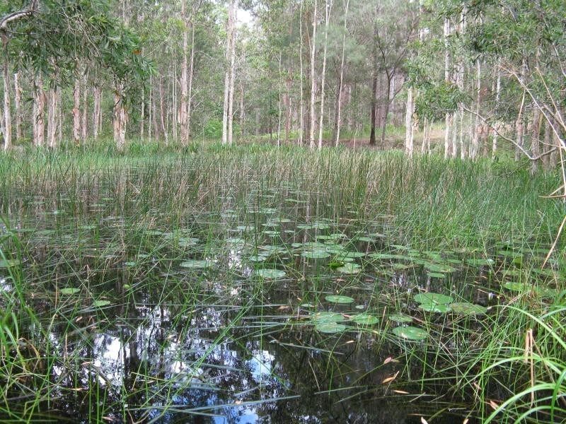 182 Hidden Valley Road, North Arm QLD 4561