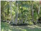 6 PAYNE Street, Eumundi QLD 4562