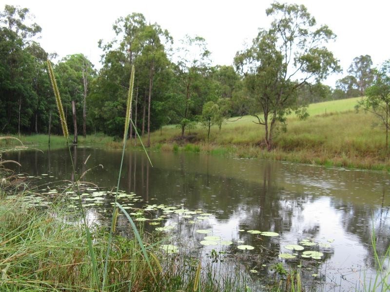 Cooroy QLD 4563