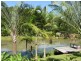 Eumundi QLD 4562