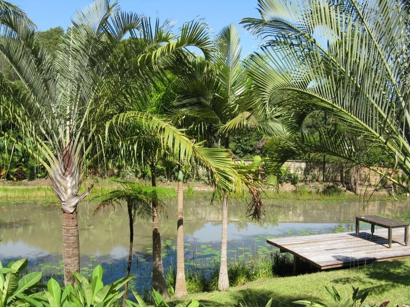 Eumundi QLD 4562