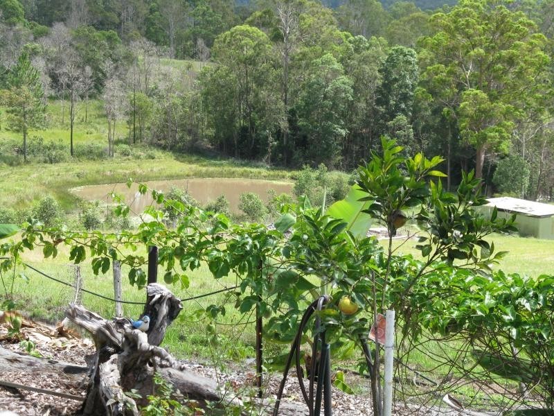 296 CEDAR CREEK Road, Belli Park QLD 4562