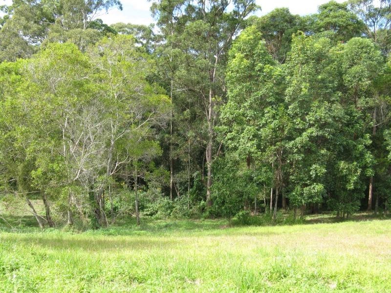 6 NATURALIST Place, Doonan QLD 4562