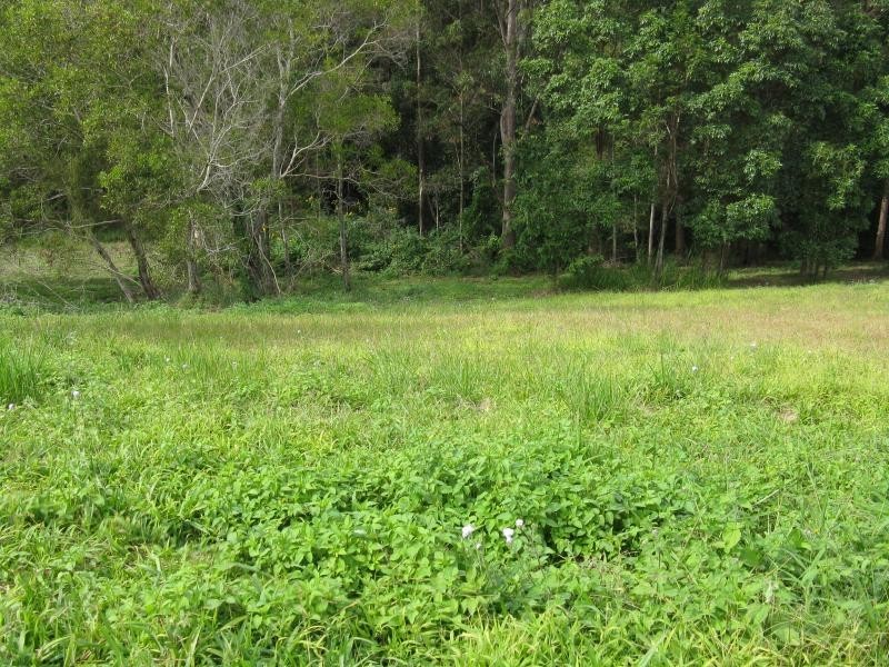 6 NATURALIST Place, Doonan QLD 4562