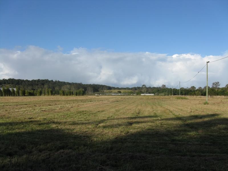 Eumundi QLD 4562