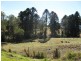 83 BROWNS Road, Belli Park QLD 4562